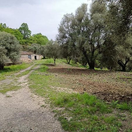 B&B Le Casette SantʼOnofrio Zewnętrze zdjęcie