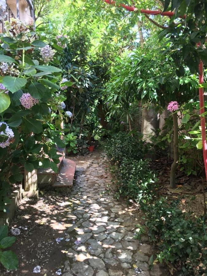B&B Le Casette SantʼOnofrio Zewnętrze zdjęcie